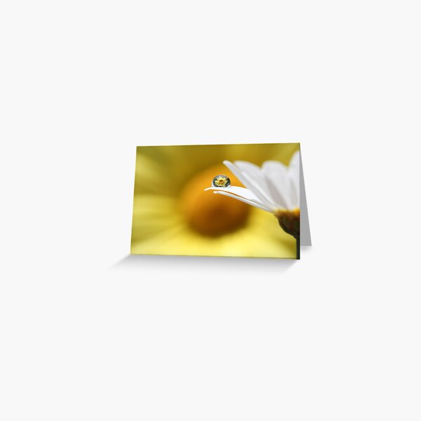 Yellow Daisy ~ Balance Greeting Card