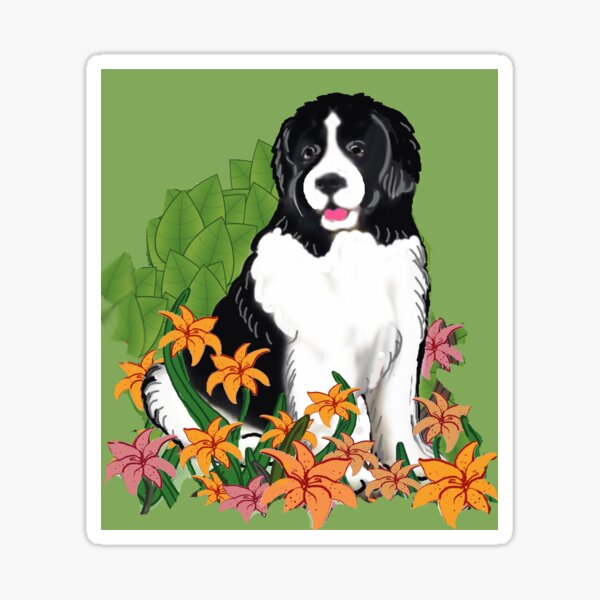 Landseer Newfoundland and Lilies Sticker