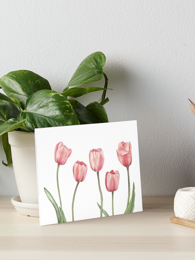 Wall Mural tulip flower on a stem with leaves 