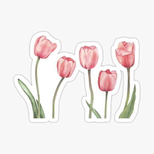 Item preview, Pink tulips with leaves, watercolor designed and sold by SASHA-MATBON.