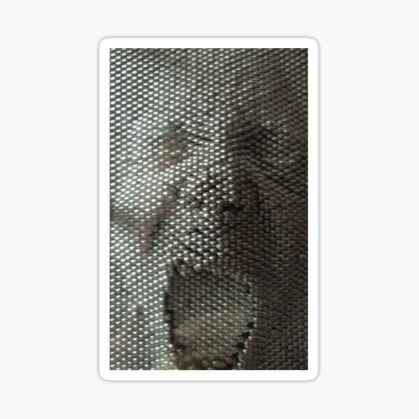 Scream Sticker