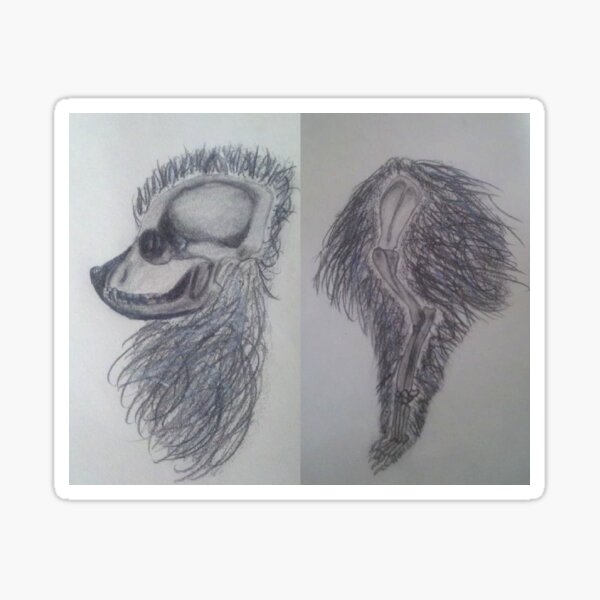 Pomeranian Skeletal Study Sticker