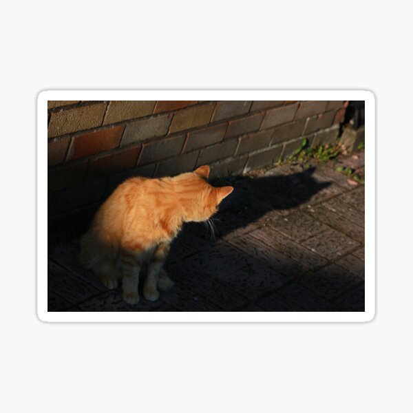 Ginger cat and shadow Sticker