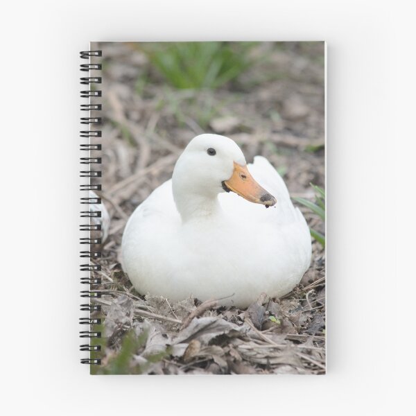 Item preview, Roosting White Mallard designed and sold by lmaiphotography.