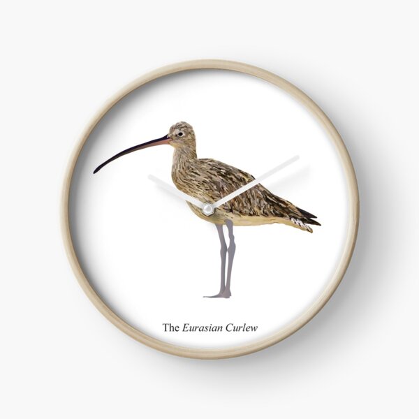 The Eurasian Curlew Clock