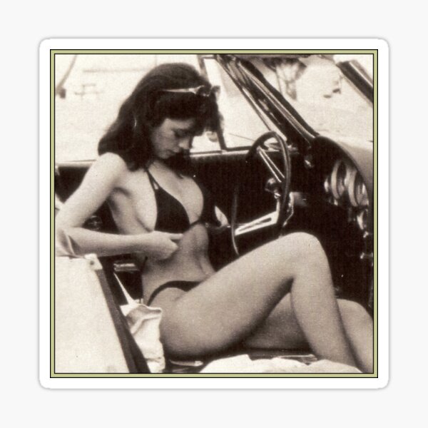 The Little Stingray II Sticker