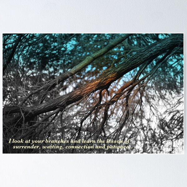 Item preview, Branches designed and sold by moonlover.