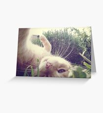 _ playful _ Greeting Card