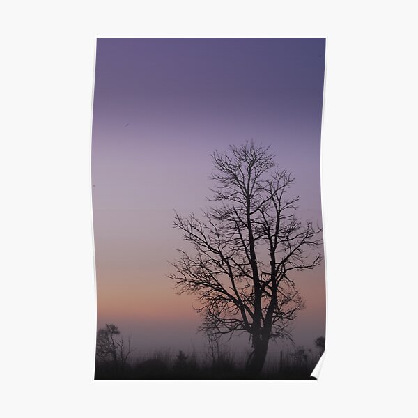 Silhouettes Poster