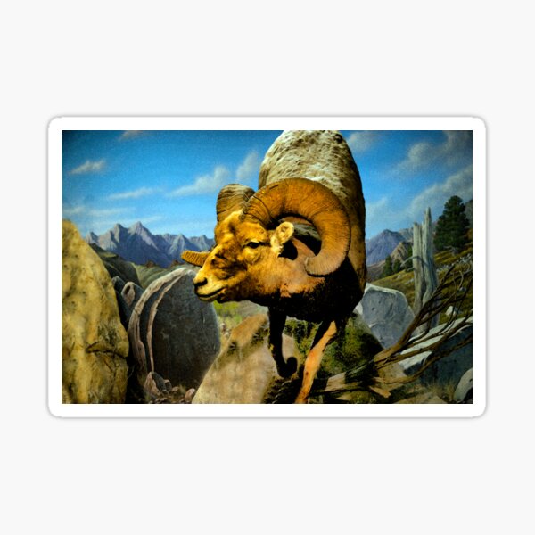 Item preview, Mountain Sheep Watercolor designed and sold by alabca.