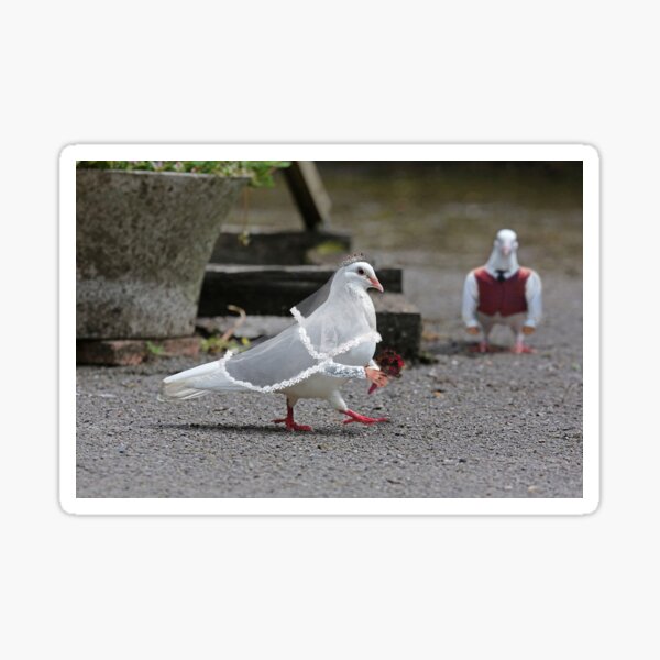 Dove Wedding Sticker