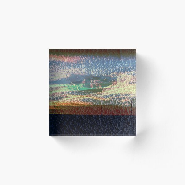 paon de nuit sur crepit de ciel Bloc acrylique