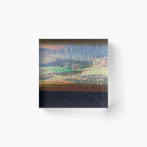 paon de nuit sur crepit de ciel Bloc acrylique