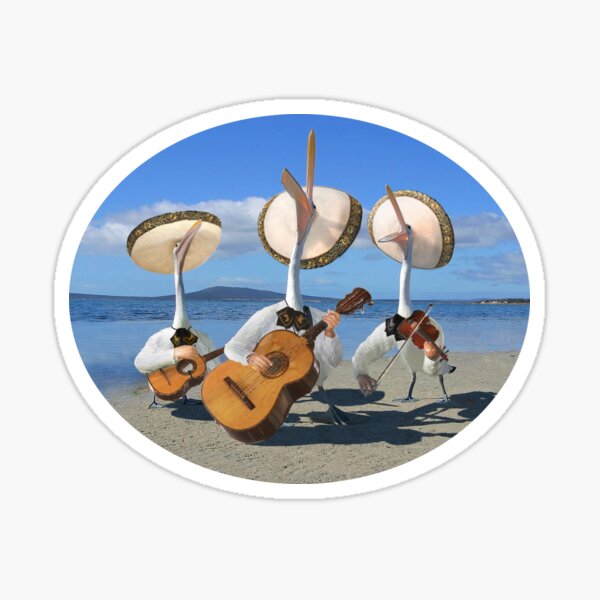 Pelican Mariachi band Sticker