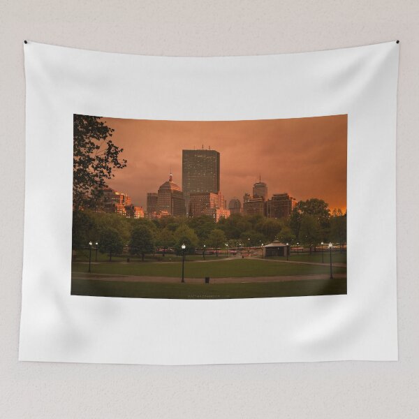 Item preview, Stormy afternoon on the Common, Boston designed and sold by Under The Radar Van.