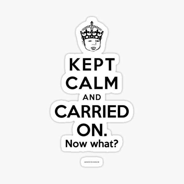 Kept Calm... Now What? Sticker