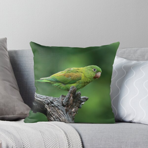 Item preview, Orange-Chinned Parakeet designed and sold by mlorenz.