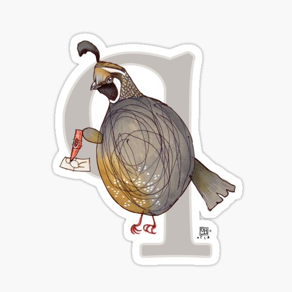Q is for QUAIL Sticker