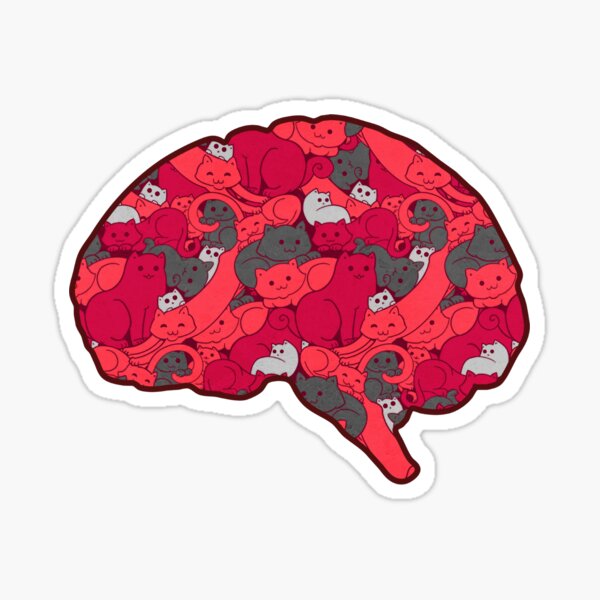 This is your brain...on CATS! Sticker