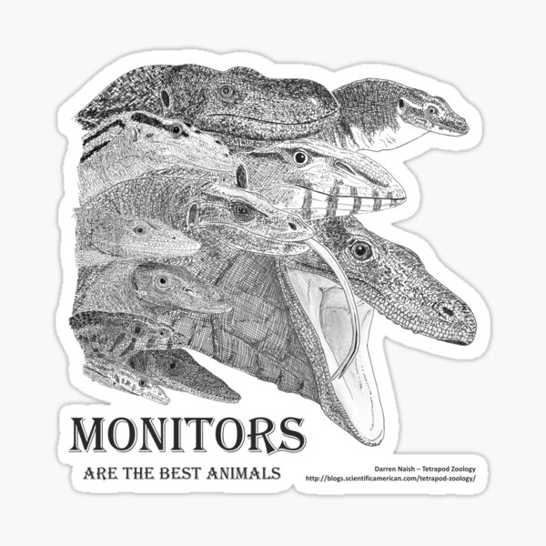 Monitors are the best animals Sticker