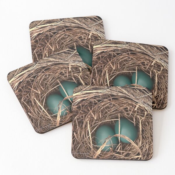 Item preview, North American Robin Eggs designed and sold by Yannik Hay.