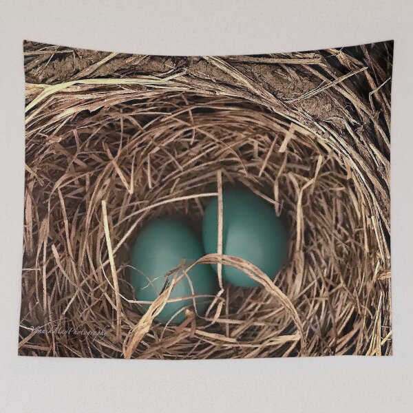 Item preview, North American Robin Eggs designed and sold by Yannik Hay.
