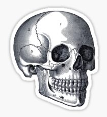 Schädel Sticker