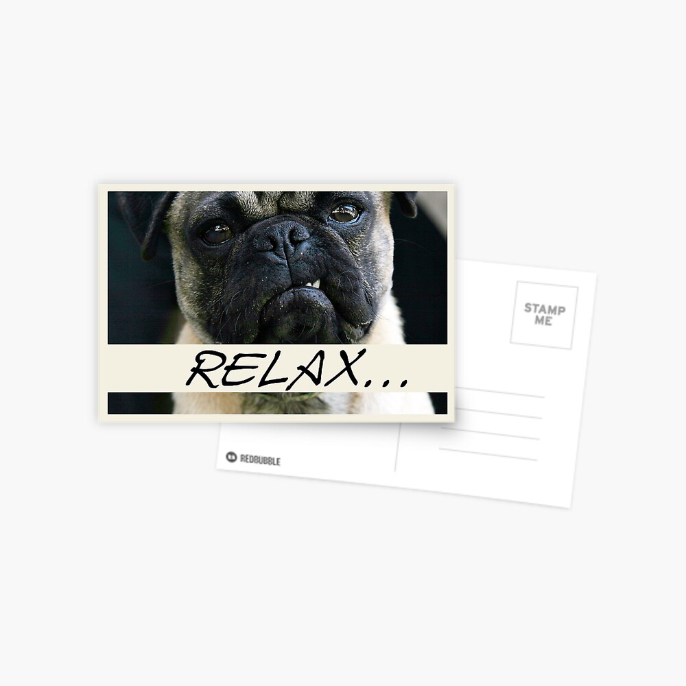 smoky mountain bullmastiffs