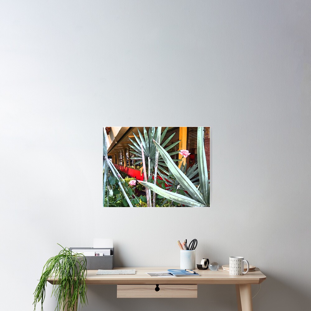 Pink Roses Poster