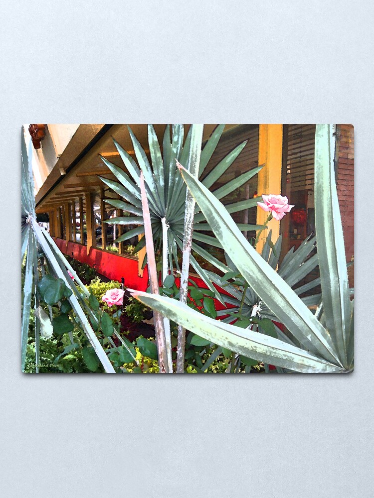 Alternate view of Pink Roses Metal Print