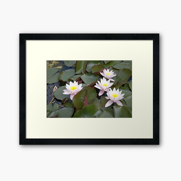 Listening yellow hearts Framed Art Print