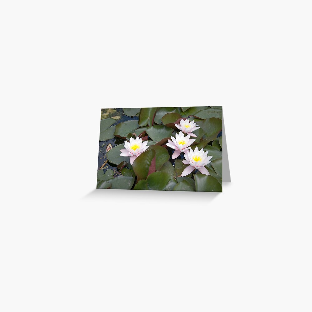 Item preview, Greeting Card designed and sold by steppeland.