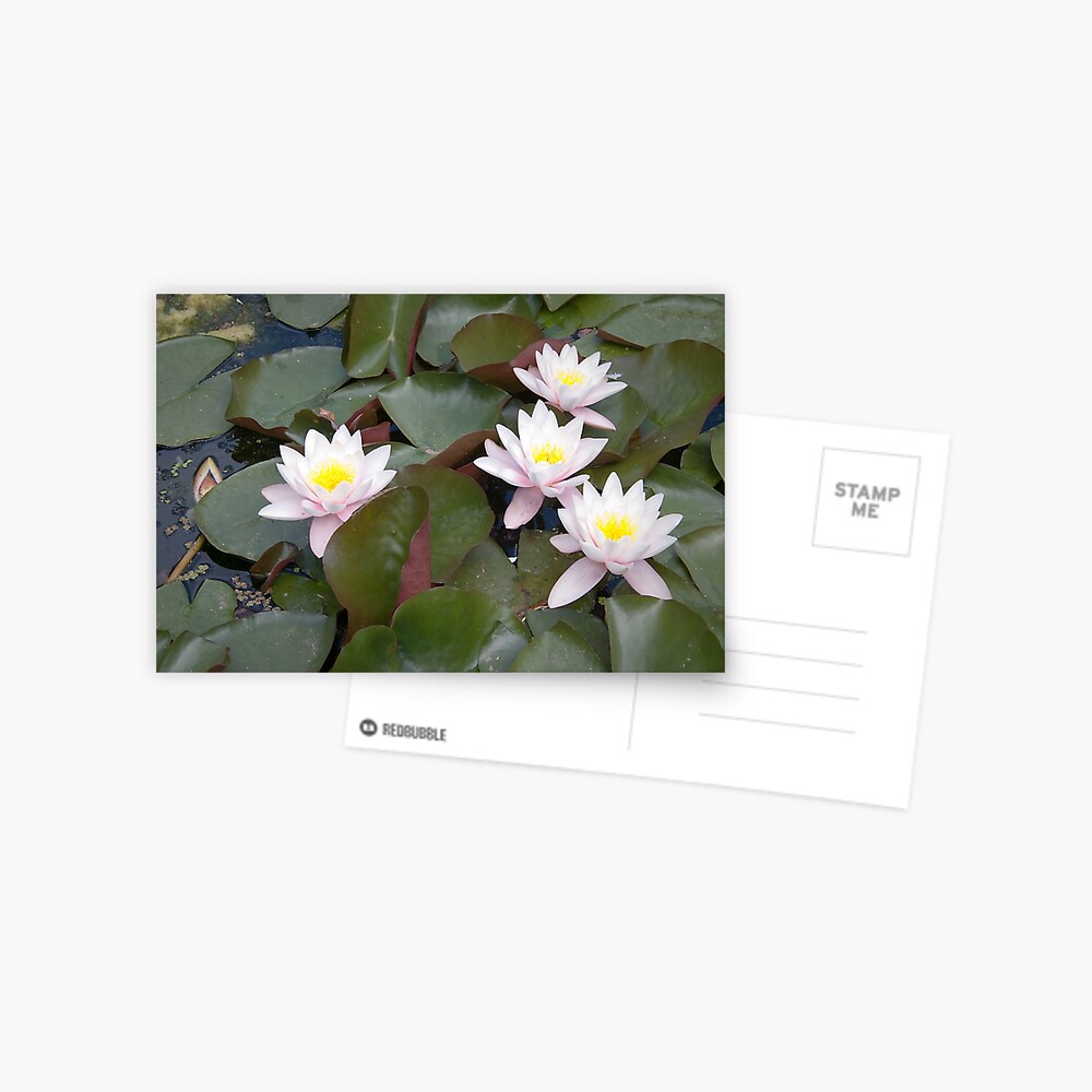 Item preview, Postcard designed and sold by steppeland.