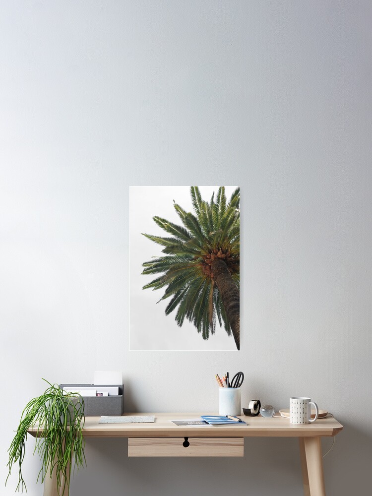 Thumbnail 2 of 3, Poster, Palm Tree designed and sold by laurasanders.