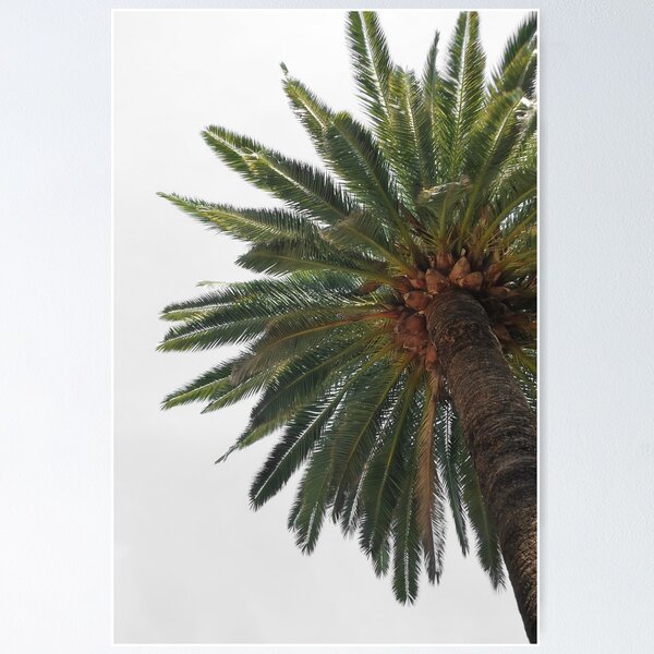 Item preview, Palm Tree designed and sold by Laura Cooper.