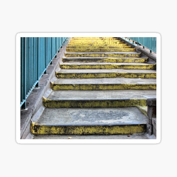 Walk Over The FDR Sticker