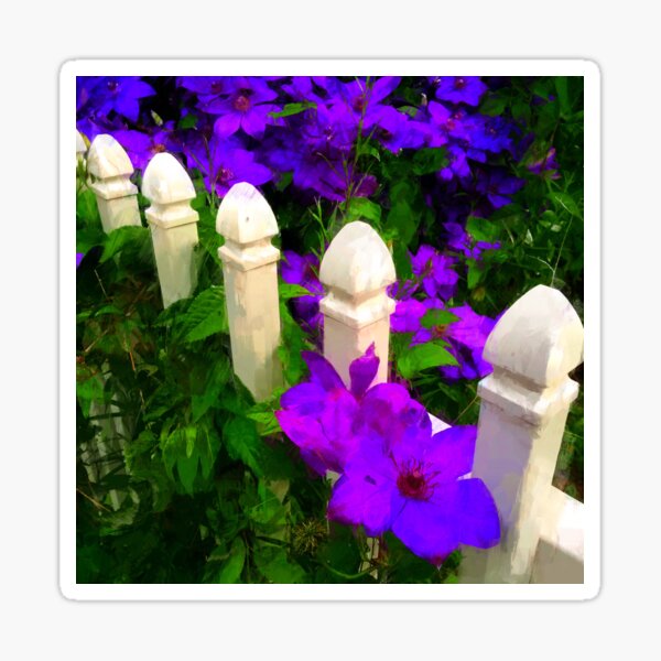 Item preview, Clematis designed and sold by ArthurDurkeeArt.