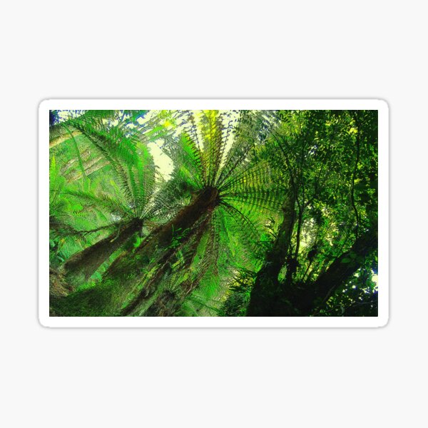 Spinning in the forest Sticker