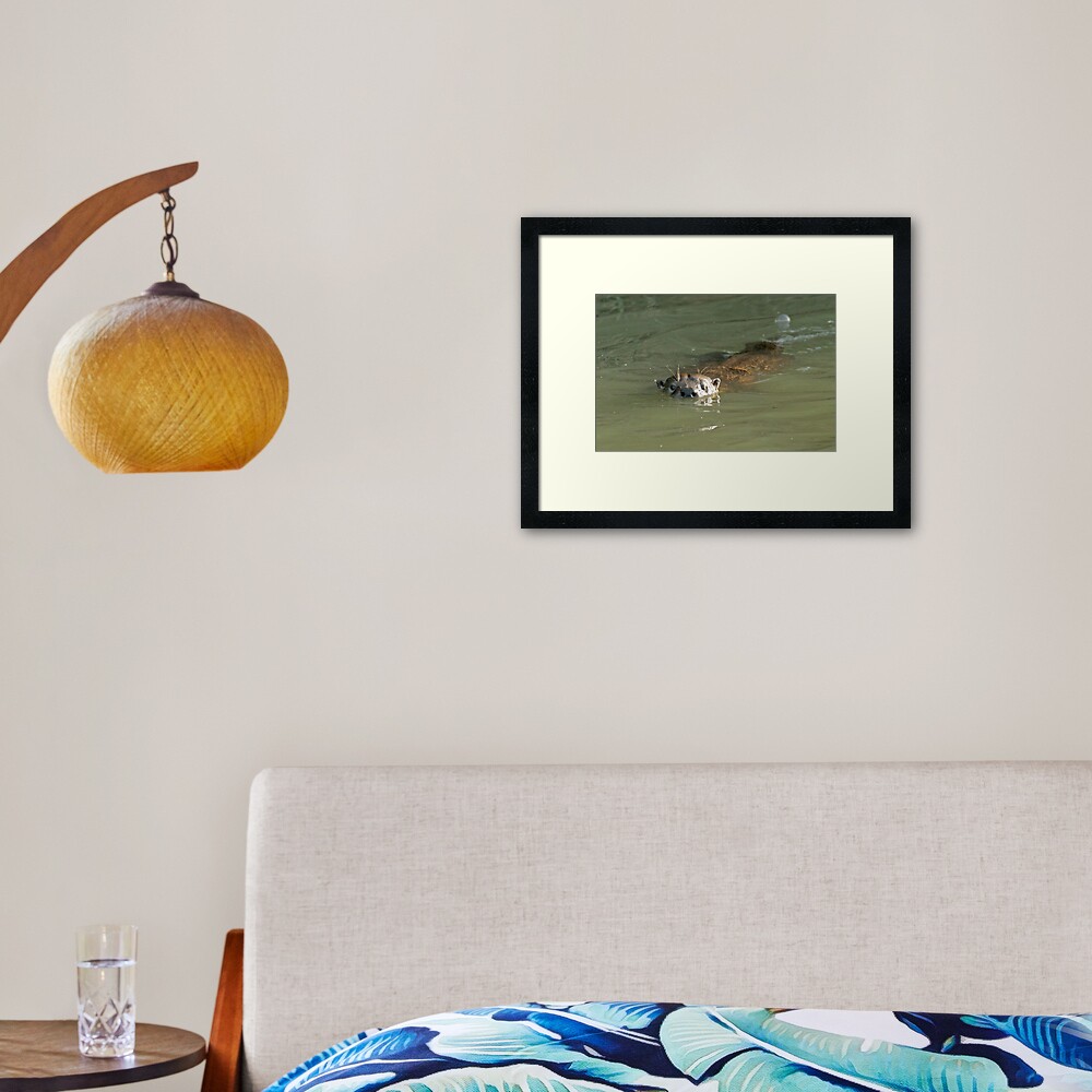 Wild otter! Framed Art Print