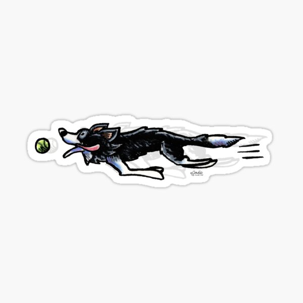 Border Collie en action Sticker