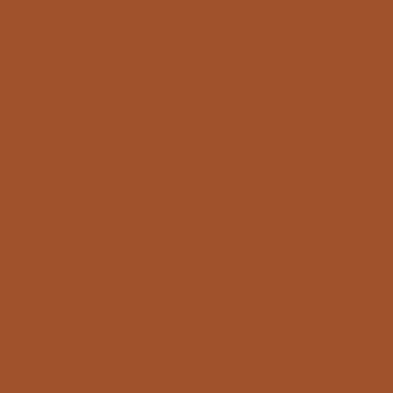 Artwork thumbnail, PLAIN SOLID SIENNA BROWN- ONE OF THE MANY SHADES OF BROWN BY OZCUSHIONS by ozcushions