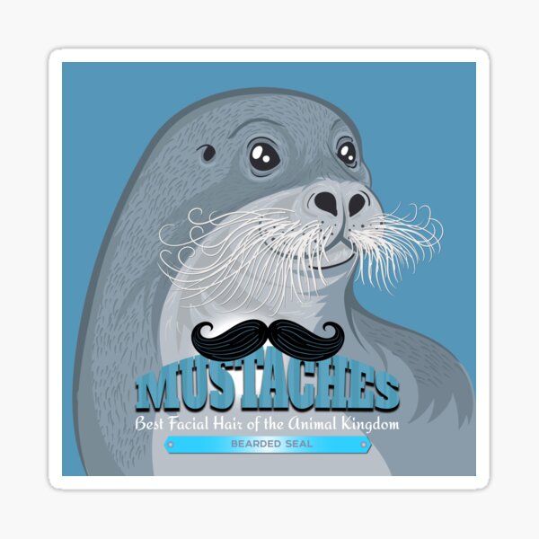 “Mustaches: Bearded Seal” Sticker by PepomintNarwhal | Redbubble