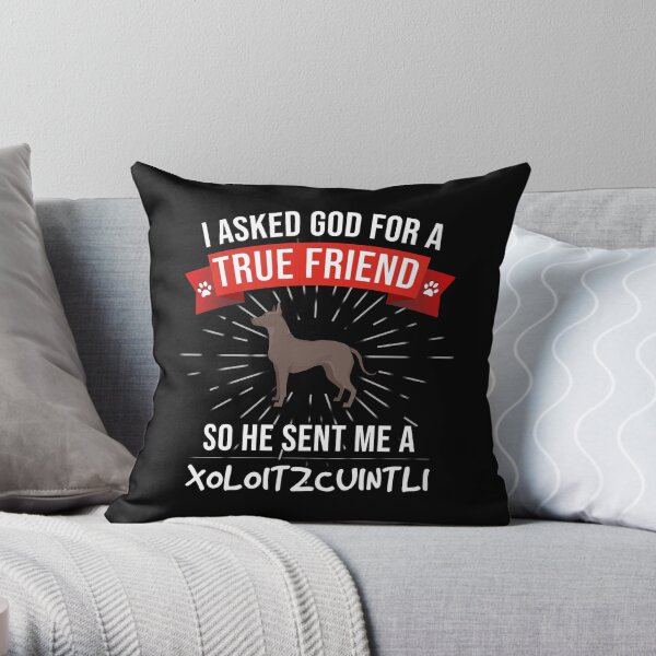 I Asked God For A True Friend So He Sent Me A Xoloitzcuintli - Gift For Lover Of Xoloitzcuintli Throw Pillow