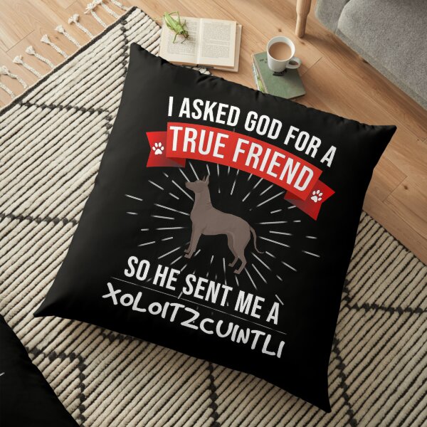 I Asked God For A True Friend So He Sent Me A Xoloitzcuintli - Gift For Lover Of Xoloitzcuintli Floor Pillow