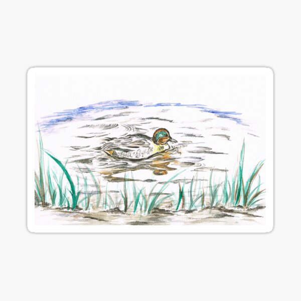 Duck's Reflection Sticker