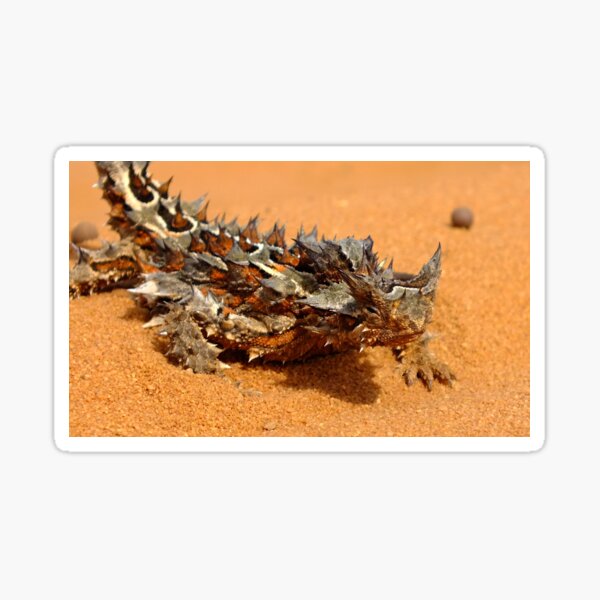 Item preview, Thorny Devil designed and sold by imagesnartbyali.
