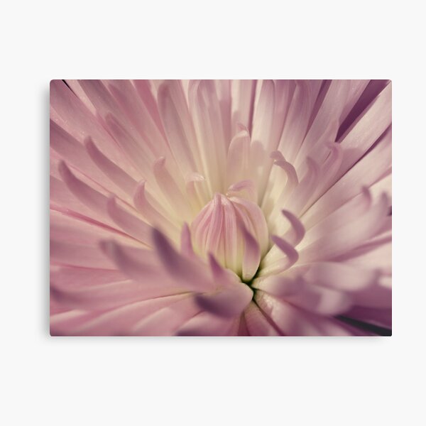 a may morning Metal Print