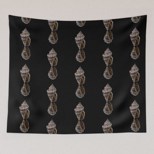 Item preview, Balancing Shell… 198  designed and sold by OracleArtist.