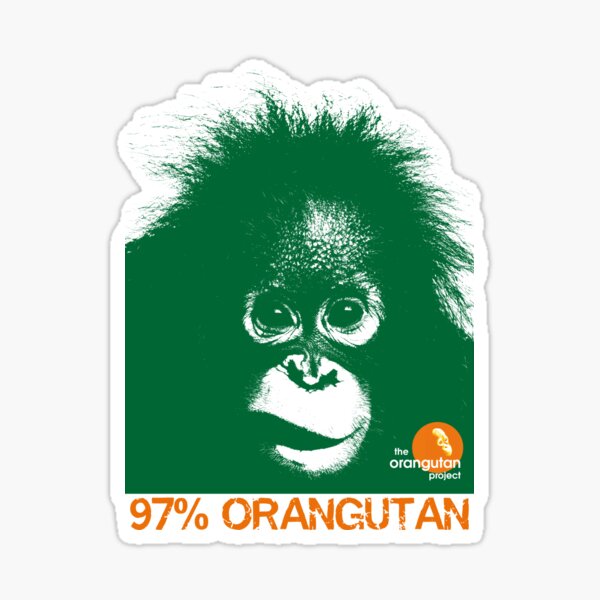Item preview, 97% Orangutan Tee 2 designed and sold by The Orangutan Project.