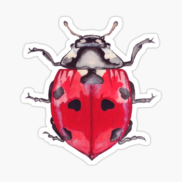 Item preview, Ladybird designed and sold by Bridget Davidson.